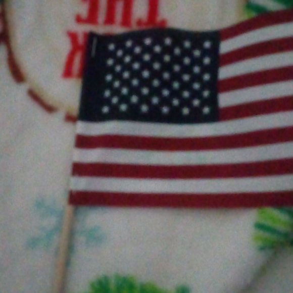 Flags - Picture 6 of 6